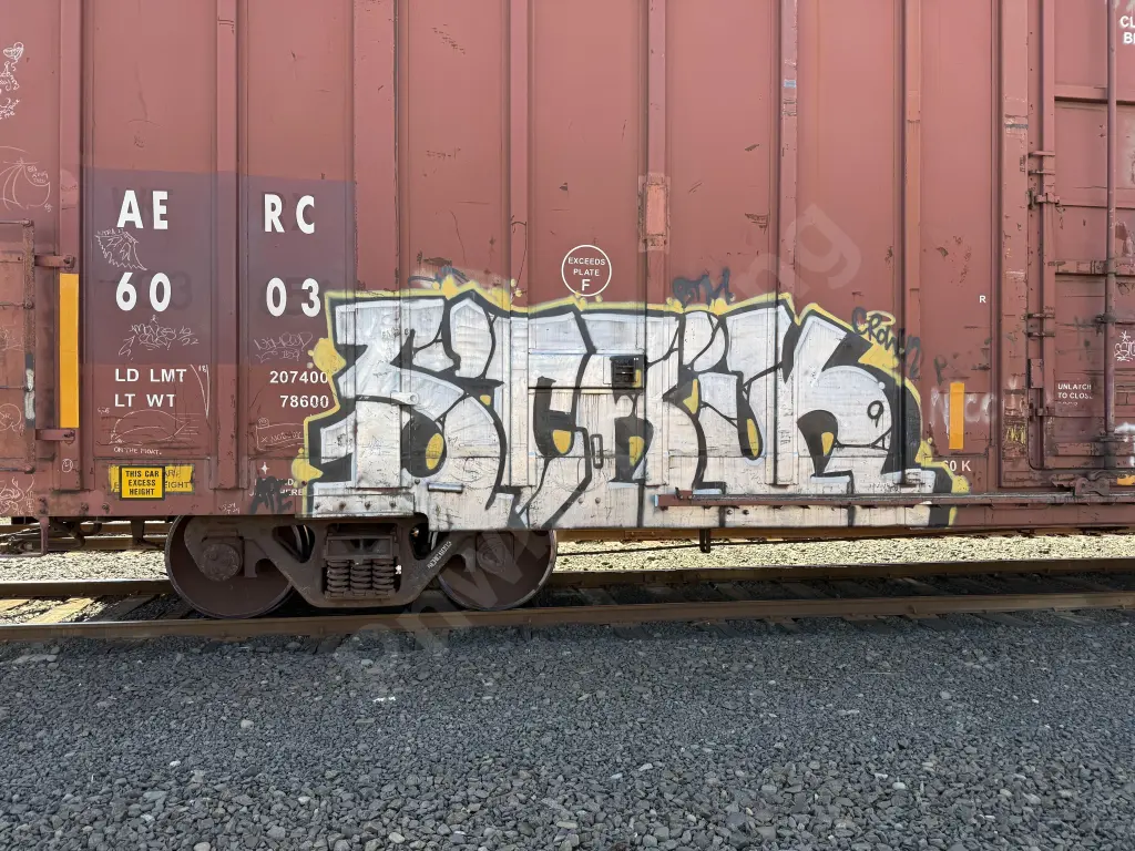 AERC6003 - NORTH-AMERICA