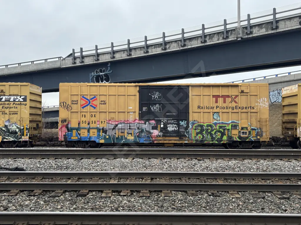 FBOX505897 - NORTH-AMERICA