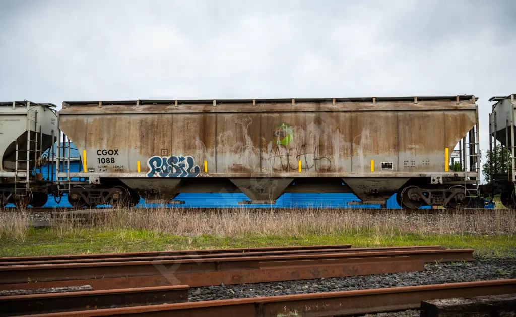 CGOX1088 - NORTH-AMERICA