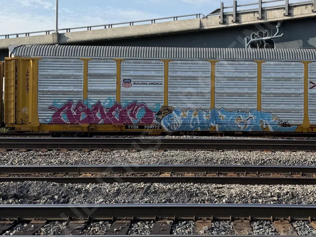 TTGX709772 - NORTH-AMERICA
