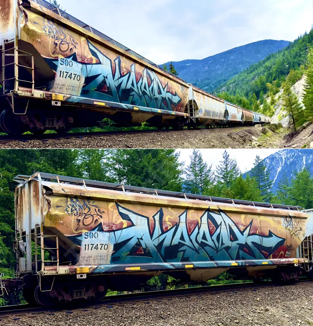 SOO117470 - NORTH-AMERICA