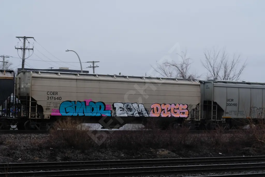 COER317640 - NORTH-AMERICA