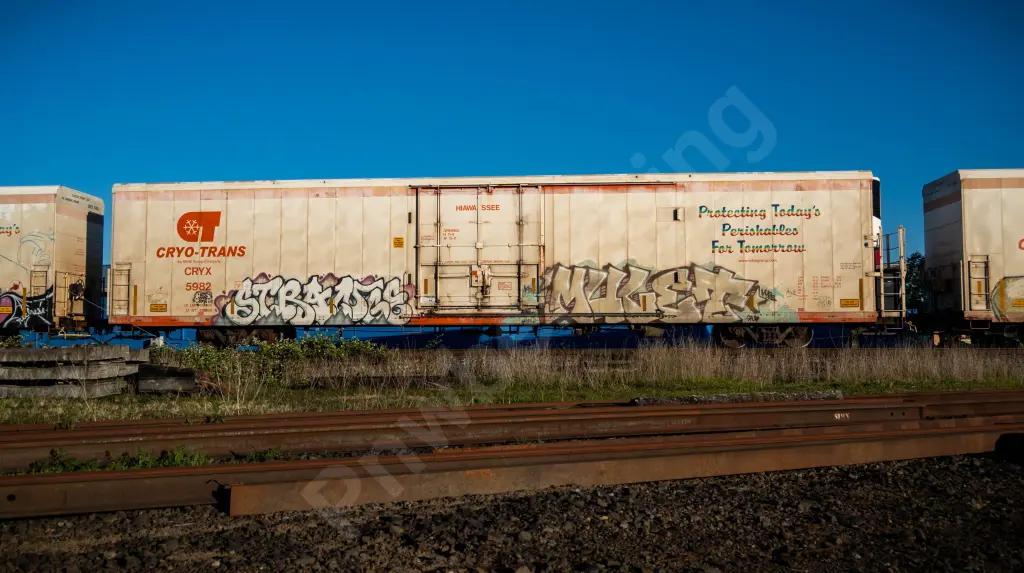 CRYX5982 - NORTH-AMERICA