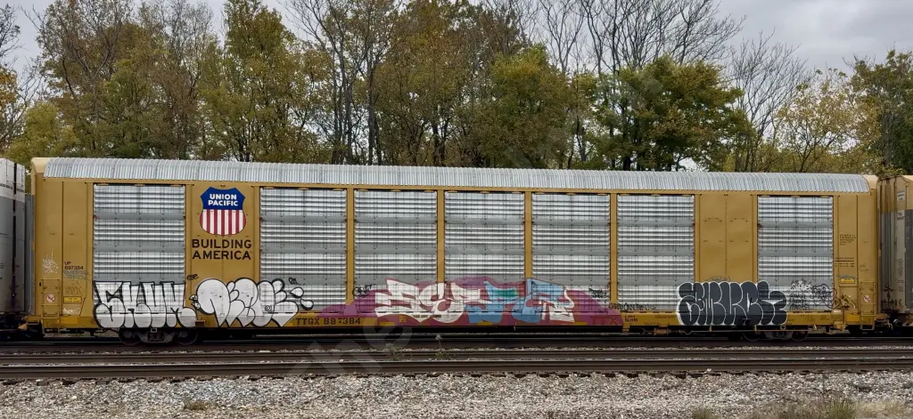 TTGX697384 - NORTH-AMERICA