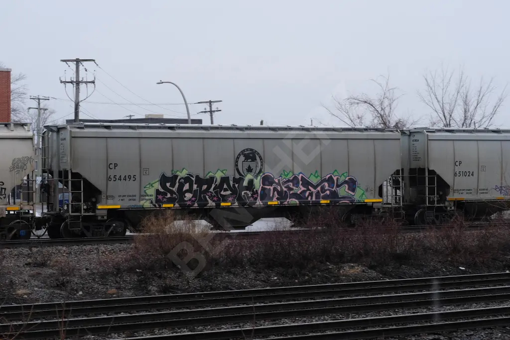 CP654495 - NORTH-AMERICA
