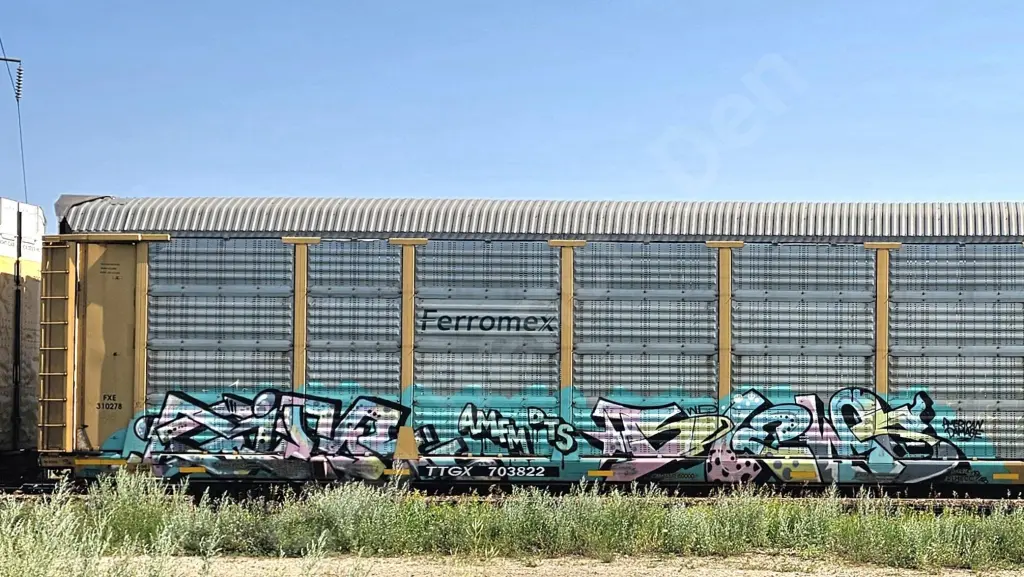 TTGX703822 - NORTH-AMERICA