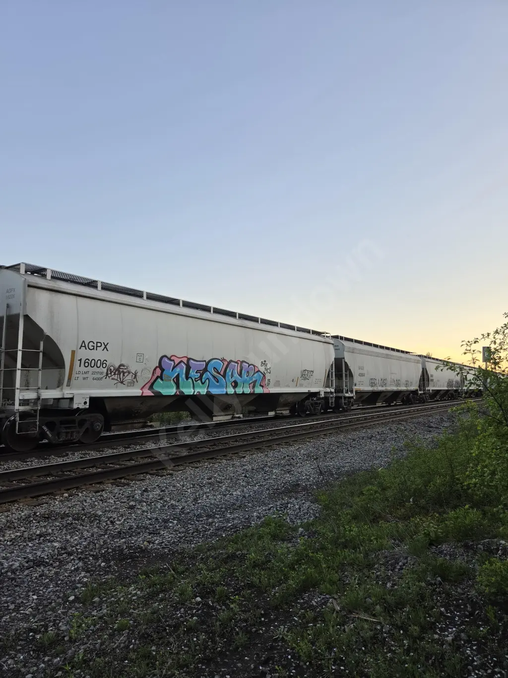 AGPX16006 - CANADA