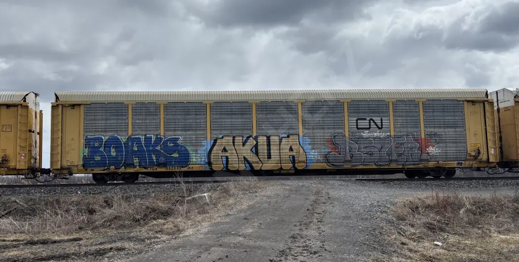 TTGX992585 - NORTH-AMERICA