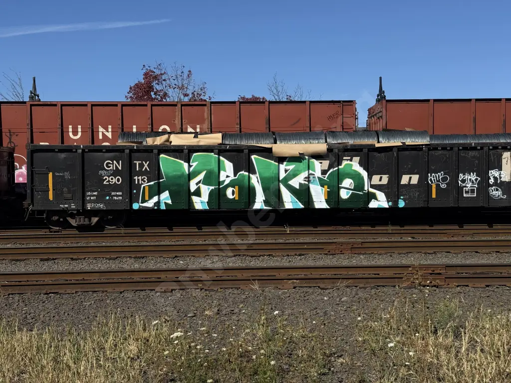 GNTX290113 - NORTH-AMERICA