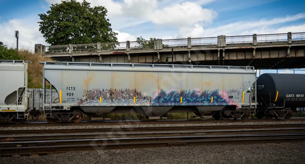FCTX909 - NORTH-AMERICA