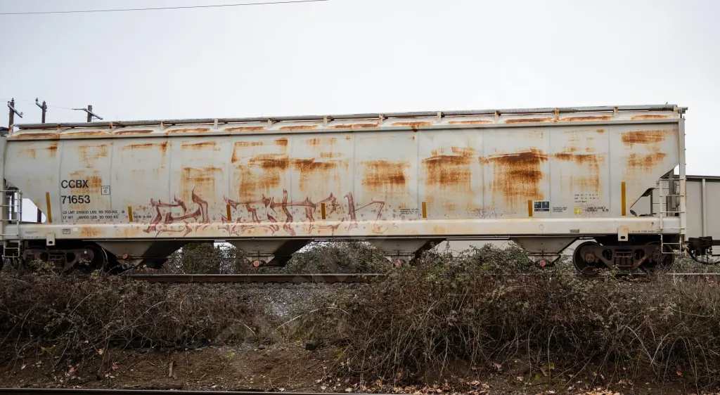 CCBX71653 - NORTH-AMERICA