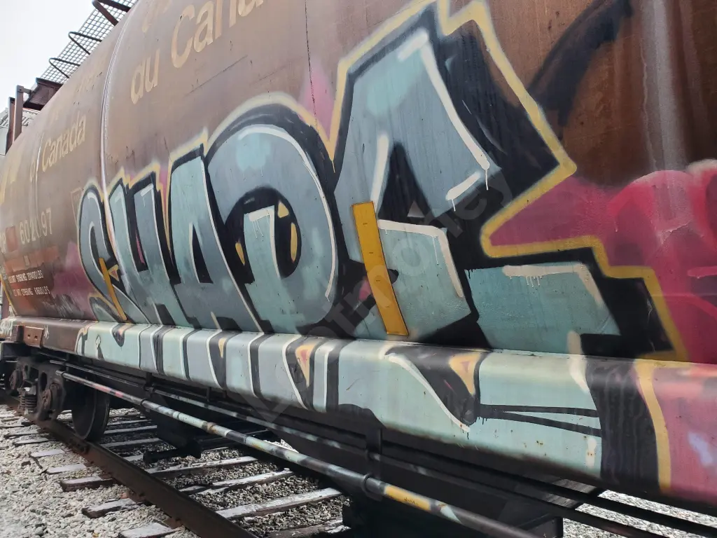 CP602097 - NORTH-AMERICA