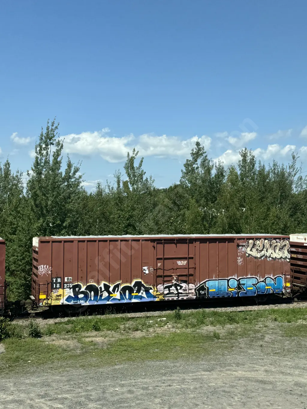 TR18275 - NORTH-AMERICA
