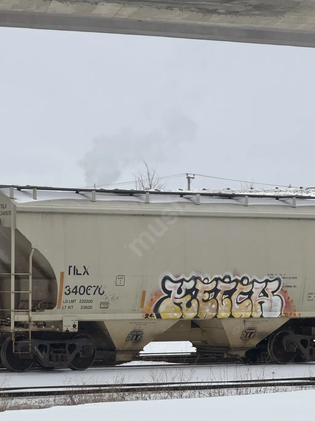 TILX340670 - NORTH-AMERICA