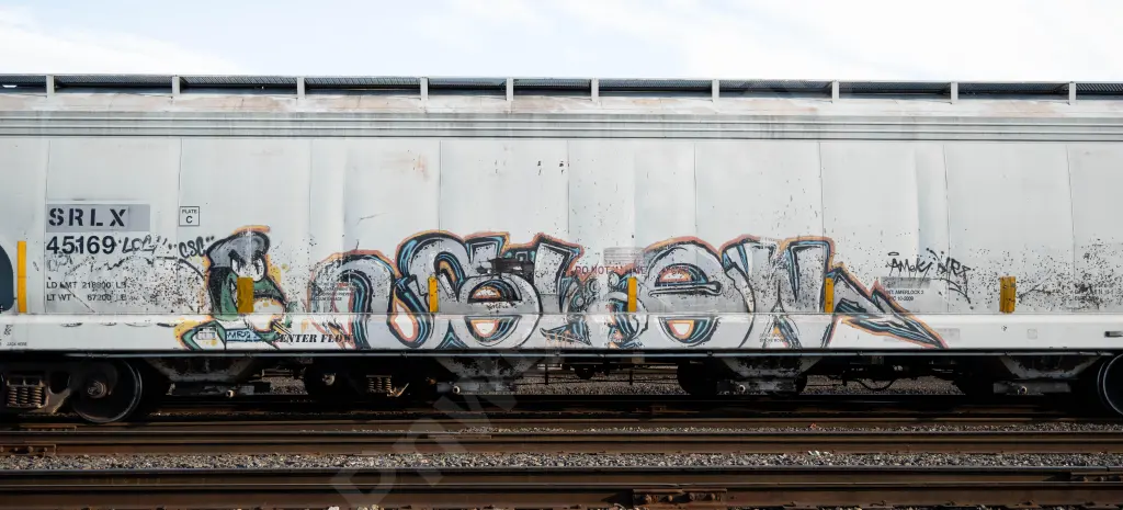 SRLX45169 - NORTH-AMERICA