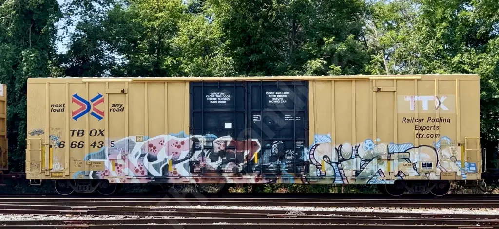 TBOX666435 - NORTH-AMERICA