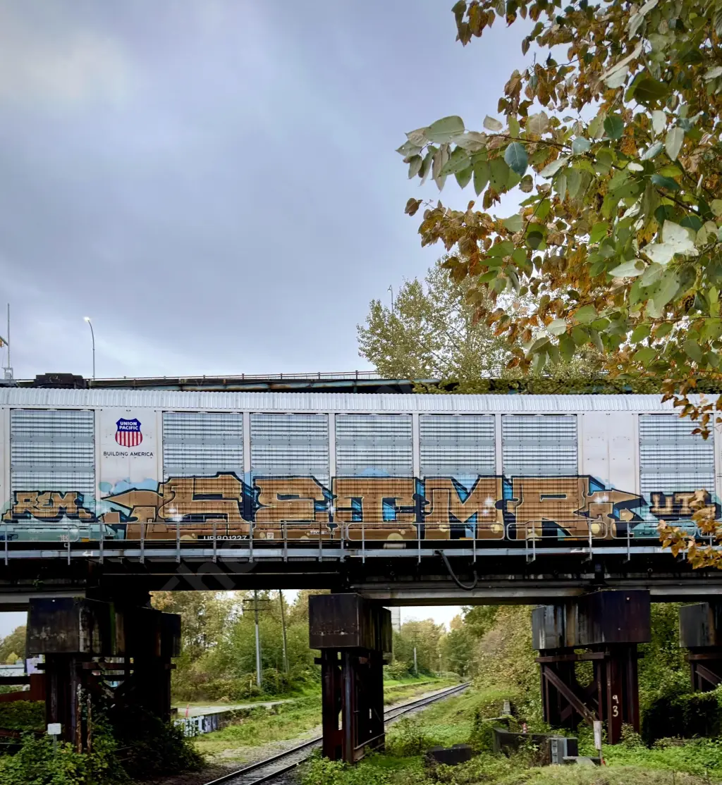 UP801227 - NORTH-AMERICA