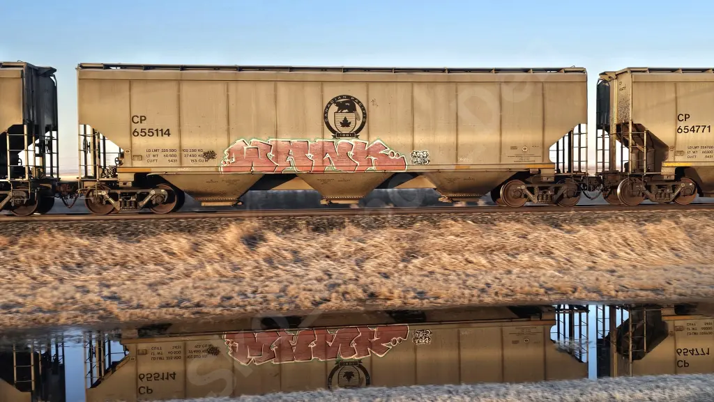 CP655114 - NORTH-AMERICA