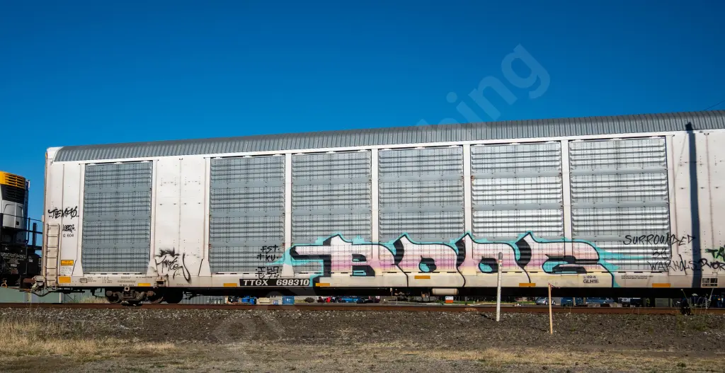 TTGX698310 - NORTH-AMERICA