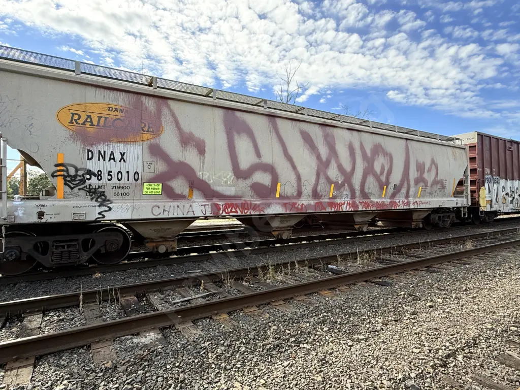 DNAX585010 - NORTH-AMERICA