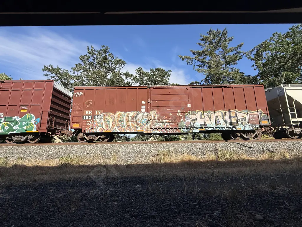 BKTY152446 - NORTH-AMERICA
