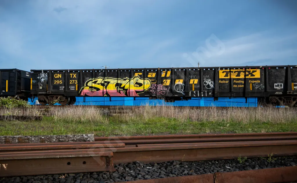 GNTX295273 - NORTH-AMERICA