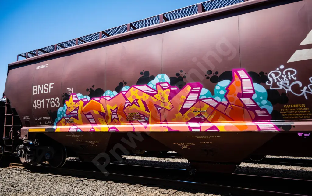 BNSF491763 - NORTH-AMERICA