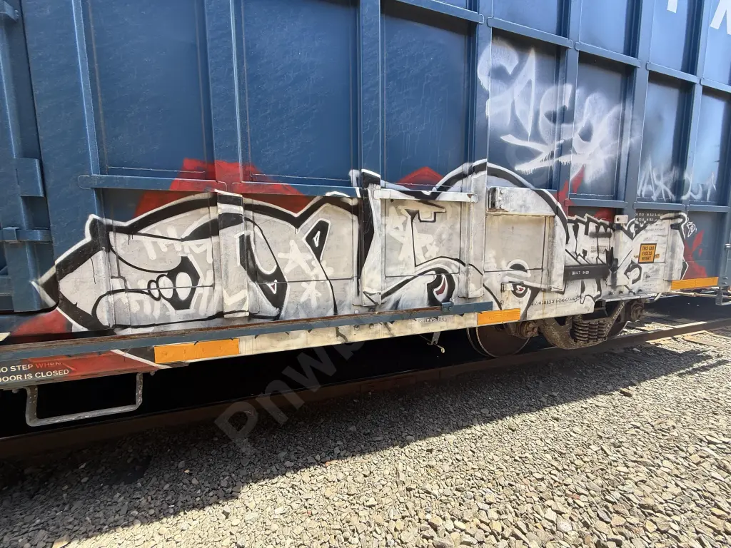 BKTY158047 - NORTH-AMERICA