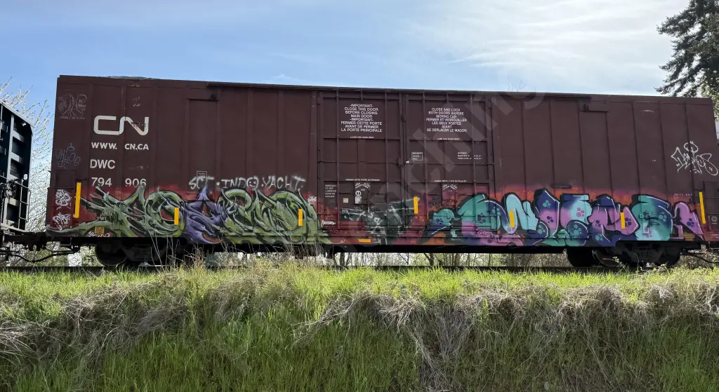 Train photo