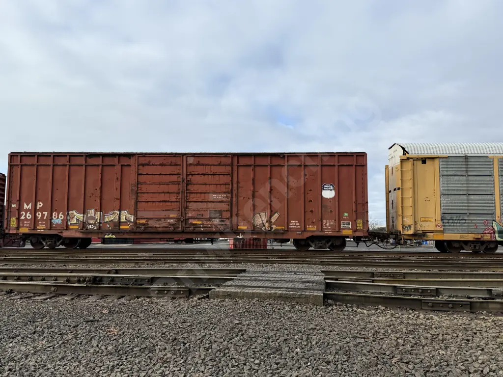 MP269786 - NORTH-AMERICA