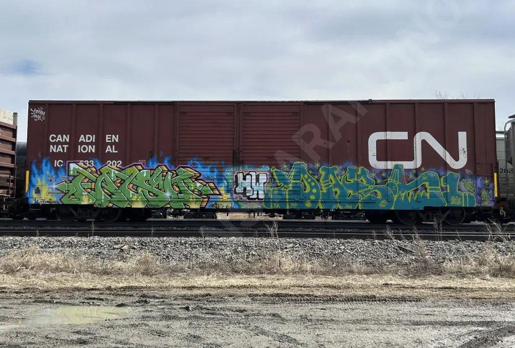 IC533202 - NORTH-AMERICA