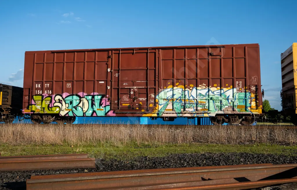 BKTY156616 - NORTH-AMERICA