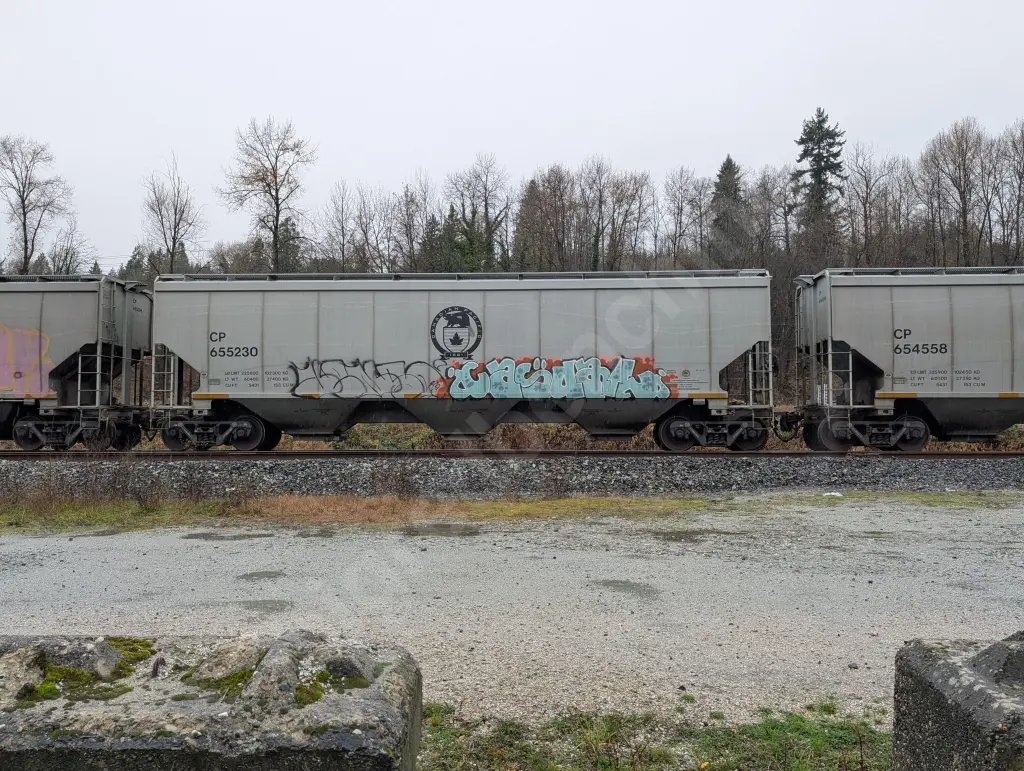 CP655230 - NORTH-AMERICA