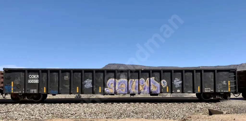 COER800380 - NORTH-AMERICA