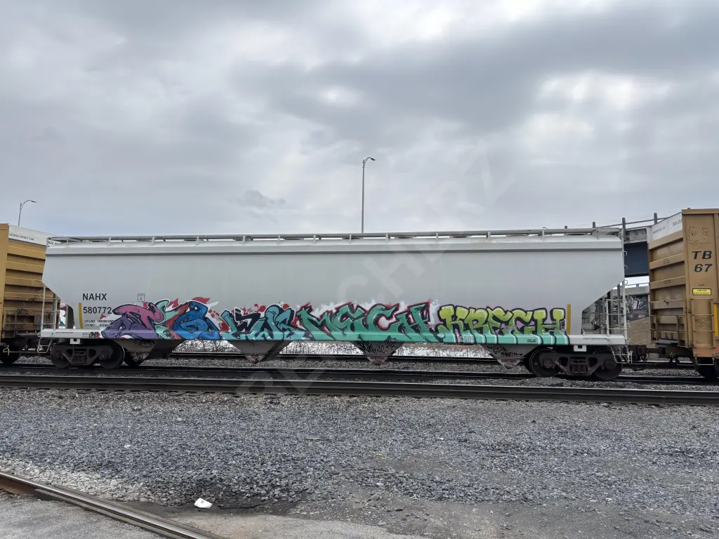 NAHX580772 - NORTH-AMERICA