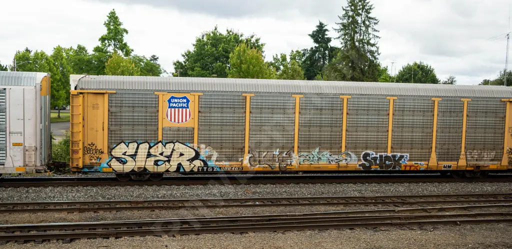 TTGX988465 - NORTH-AMERICA