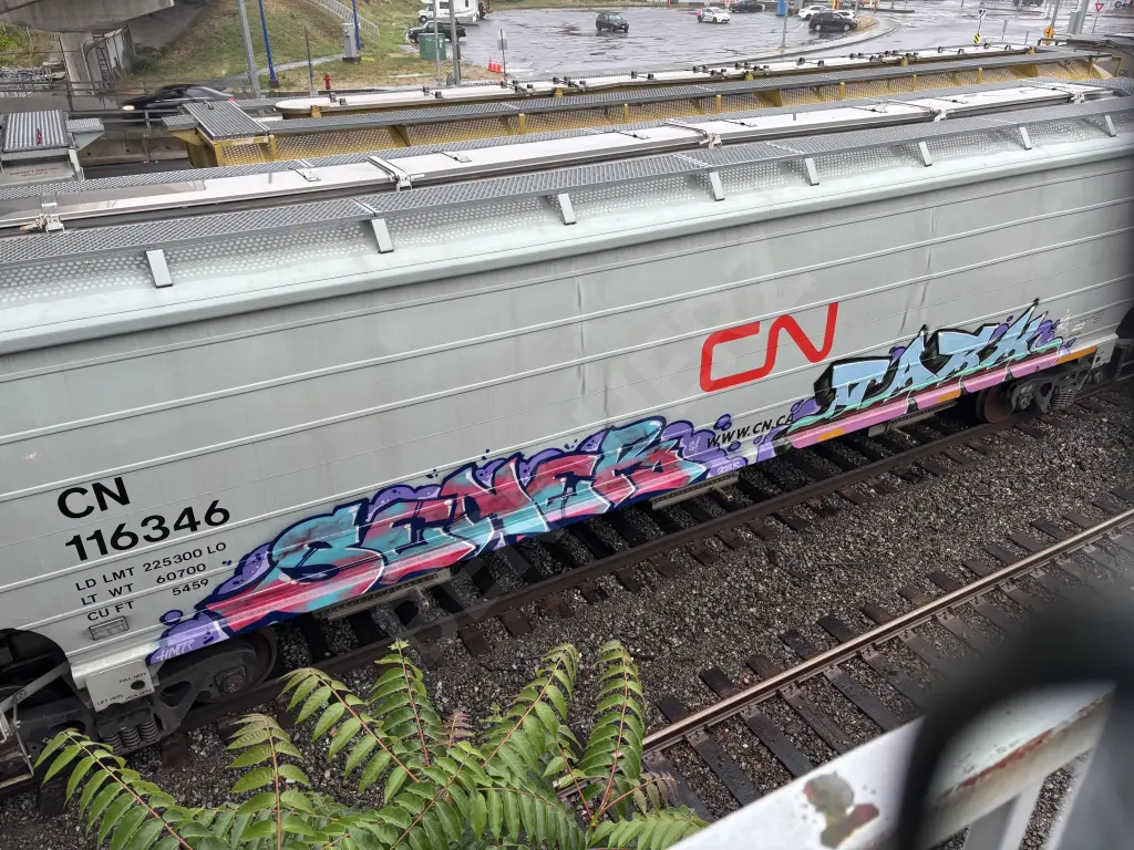 CN116346 - NORTH-AMERICA