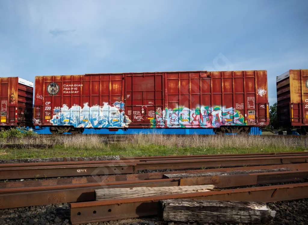 CP220242 - NORTH-AMERICA