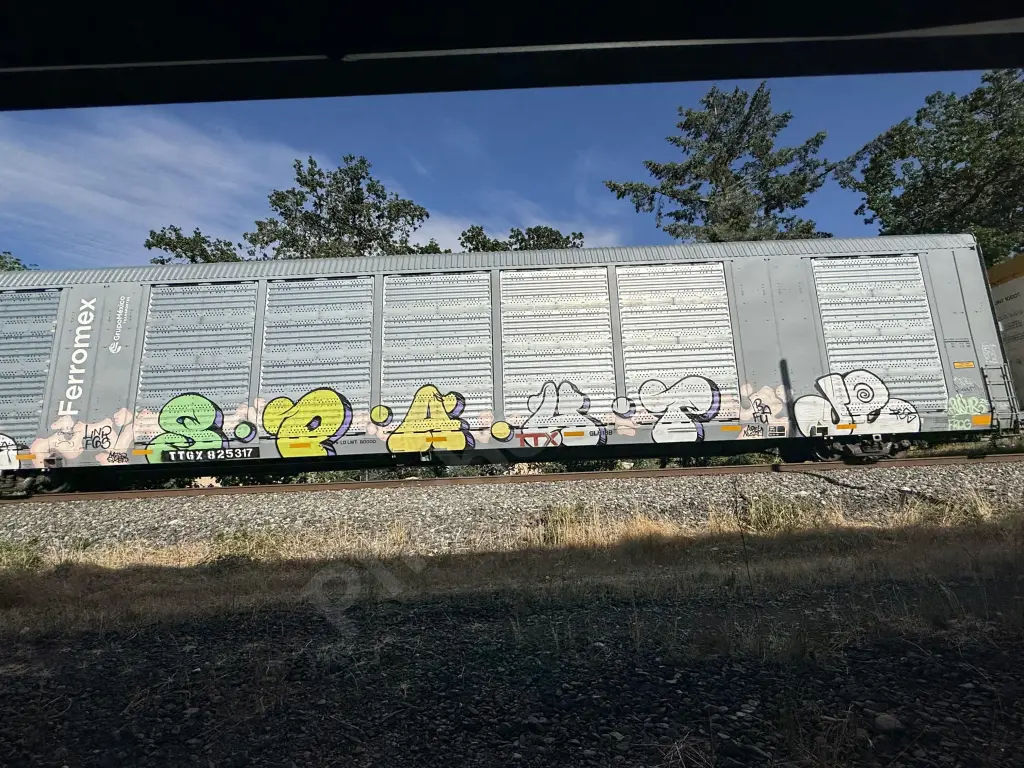 TTGX825317 - NORTH-AMERICA