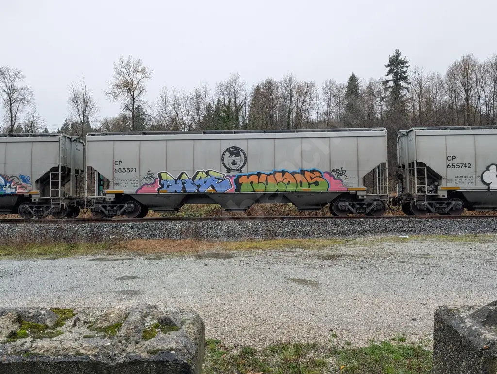 CP655521 - NORTH-AMERICA