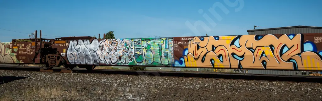 AOK55494 - NORTH-AMERICA
