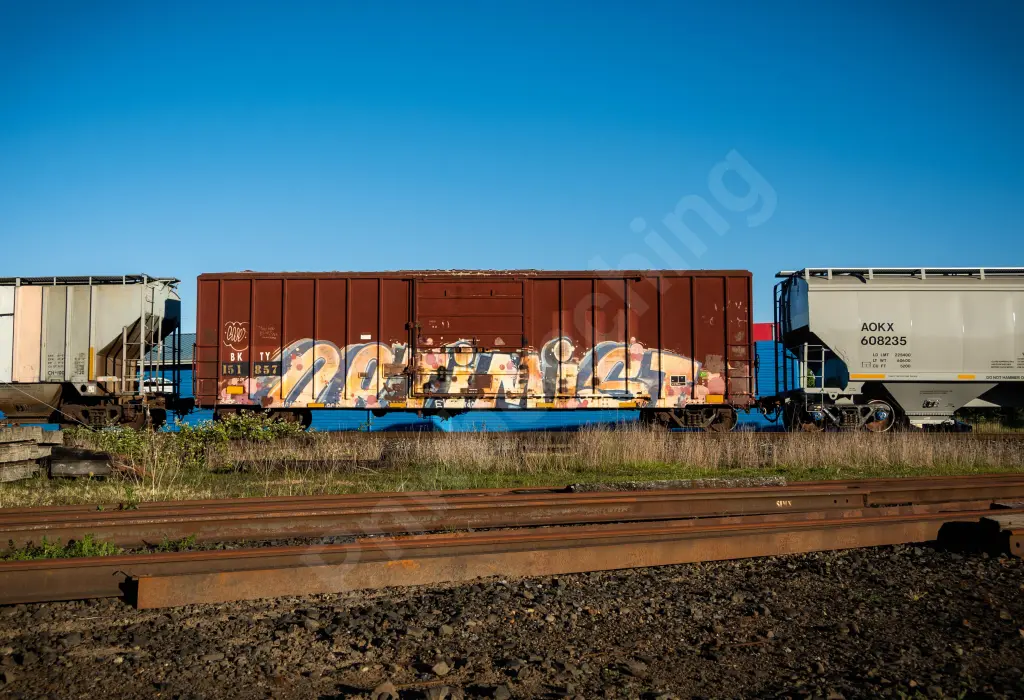 BKTY151857 - NORTH-AMERICA