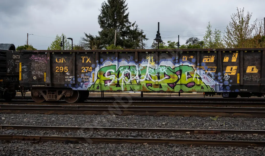 GNTX295274 - NORTH-AMERICA