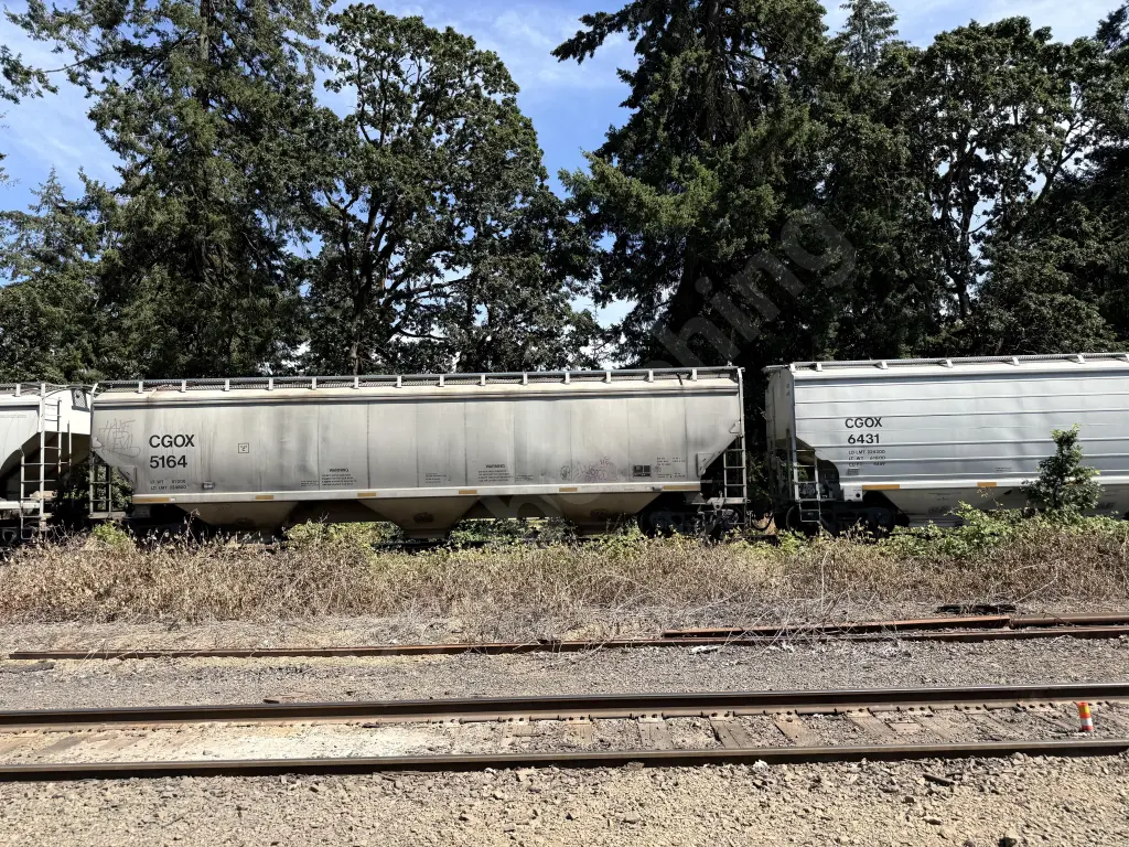 CGOX5164 - NORTH-AMERICA