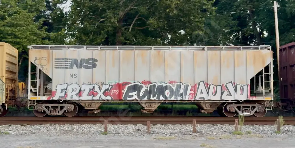 NS245028 - NORTH-AMERICA