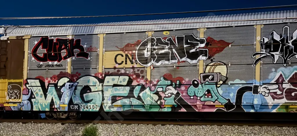 CN704507 - NORTH-AMERICA