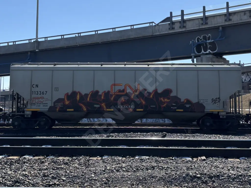 CN113367 - NORTH-AMERICA