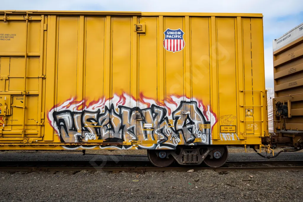 UP700362 - NORTH-AMERICA