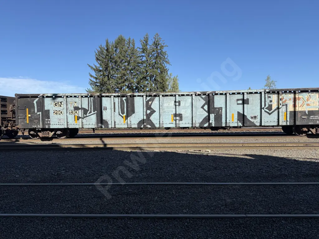 GNTX290130 - NORTH-AMERICA