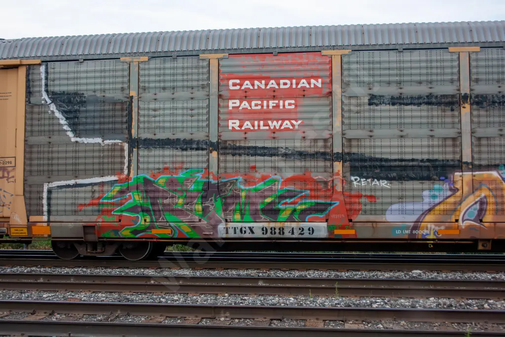TTGX988429 - NORTH-AMERICA